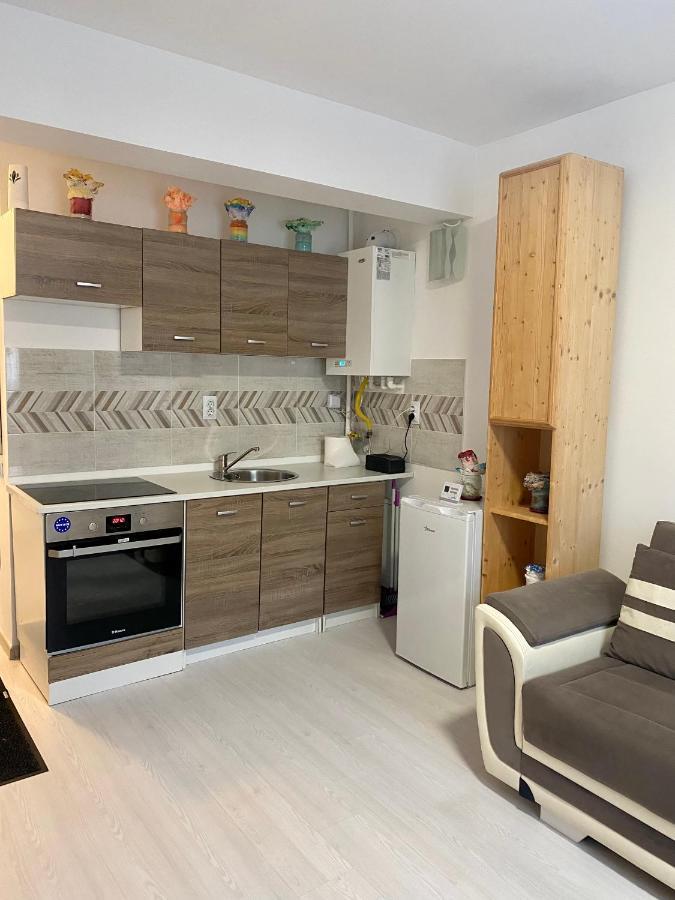 Apartament Irina Braşov Exterior foto